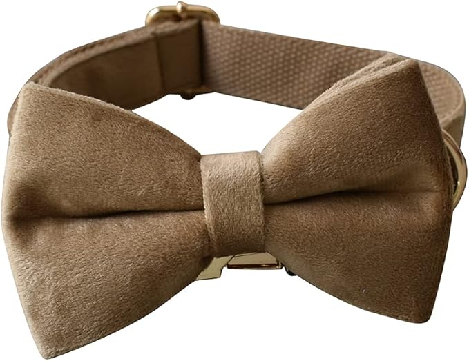 Dog Collar Custom Personalized Engraved Name and Phone Number for Puppy Small Medium Large Pets (XL, Khaki)