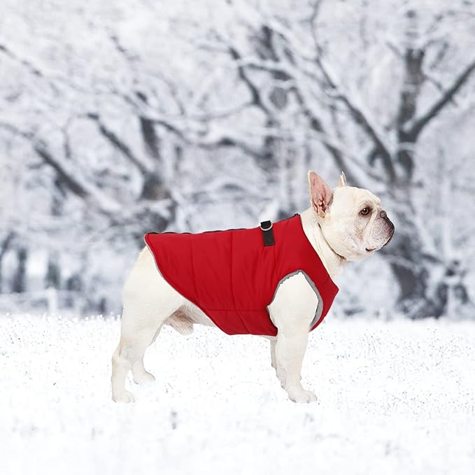 Geyecete Dog Bulldog Clothes Dog Cotton Padded Coat Thick Winter Warm Vest Waistcoat Cold Weather Jacket Clothing for French Bulldog Coat-Red-M