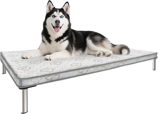 FXW TitanNest Chew-Proof Elevated Dog Bed, Raised Cot for Indoor/Outdoor/Camping Use, Durable & Waterproof Cooling Pet Bed with Exclusive Cover for Medium Dogs, 42.0" L x 27.0" W x 5.0" H, Black