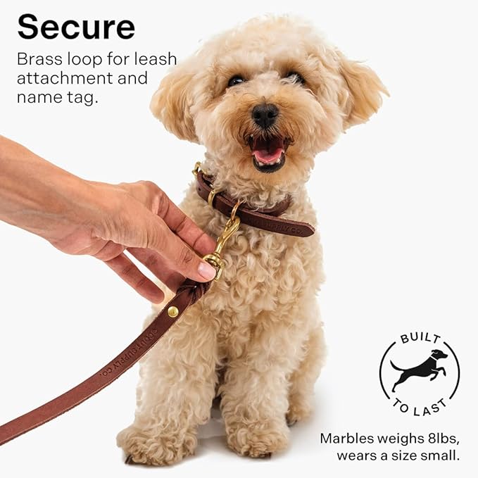 Classic Genuine Leather Dog Collar | Dog Collars for Medium Dogs, Small Dogs, Large Dogs & Extra Large Dog | Wide Dog Collar | Heavy Duty Collar (Dark Brown, XX Large)