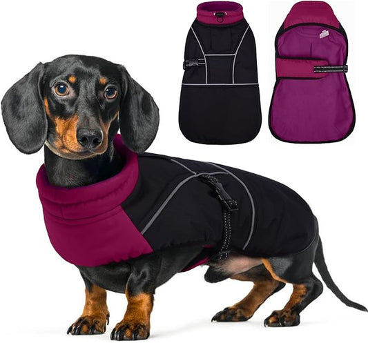 Lelepet Dachshund Coat Warm Dog Winter Coat Waterproof Dog Jacket with Fleece Lining, Reflective Outdoor Dachshund Snowsuit with Leash Hole Adjustable Neckline,Coats for Small Medium Dogs,Purple, XL