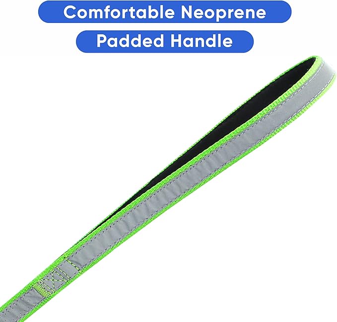 Pawtitas Personalized Dog Leash Embroidered Customize Your Pet Name & Phone Number Puppy Reflective 6 ft Long Small Green Custom Tag Name, Green Reflective 🔦 Padded