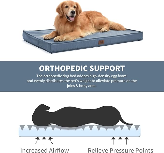 Outdoor All Weather XL Dog Bed, Waterproof Pet Bed for Extra Large Dogs, Orthopedic Egg Crate Foam with Removable Washable Oxford Cooling Cover, 44x32 Inch, Blue
