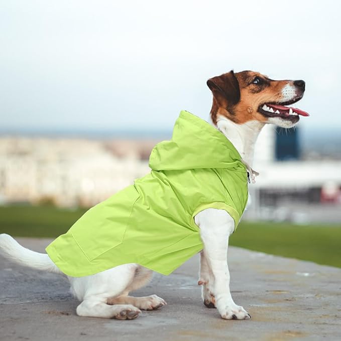 Dog Raincoat rain Jacket Dogs Waterproof fit for Small Medium Breeds Zipper Closure Pocket Storage in Cold Day - Light Green - S