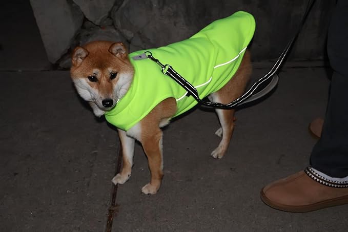 JACKO & CO - Fleece Vest Dog Sweater with Leash Ring - Soft, Warm & Lightweight Pullover Coat for Small & Medium Dogs, Puppies & Cats - Cozy Fall/Winter/Spring Pet Jacket (Lime Green, XXL 25-35lbs)