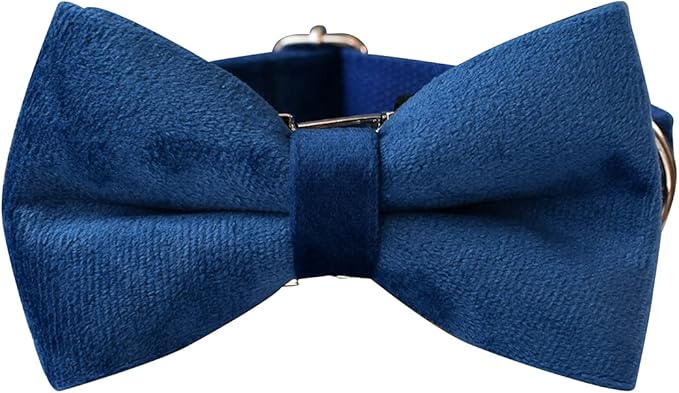 Dog Collar Custom Personalized Engraved Name and Phone Number for Puppy Small Medium Large Pets (L, Blue)