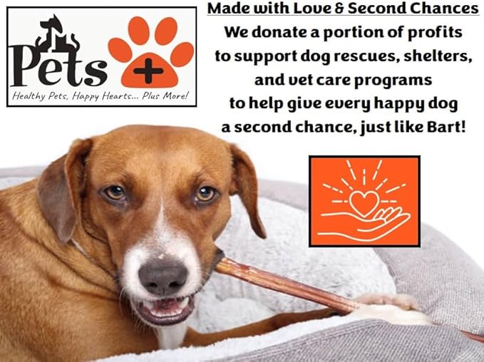 Pets Plus Premium Bart's Bully Sticks for Dogs – 6 Inch, Medium Size, All-Natural, Long-Lasting Chews for Moderate Chewers – High Protein, Low Odor, Grain-Free (15-Pack)