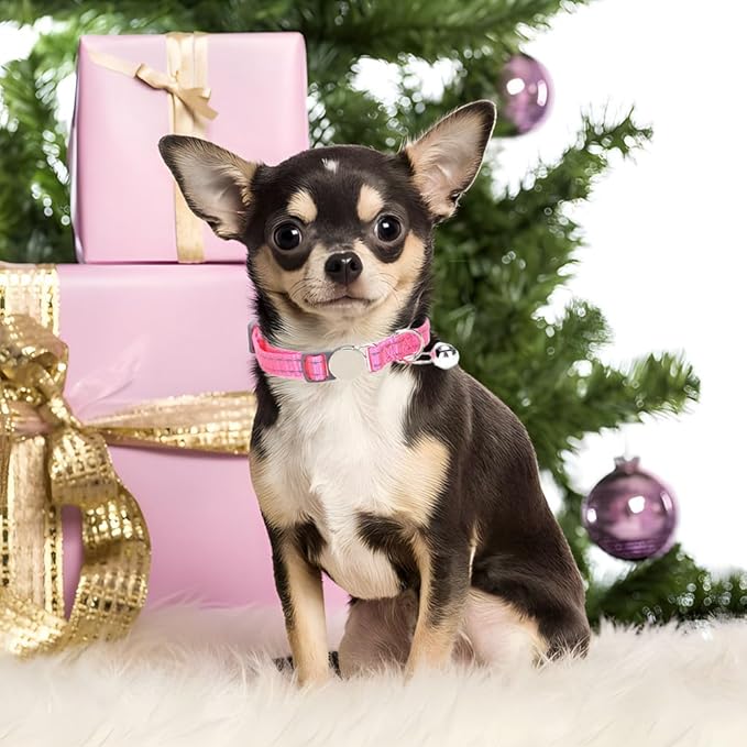 Reflective Cat Collar with Bell, Soft Nylon Break Away Kitten Collar with Bells, Breakaway Dog Collars for XXS Xs Small Tiny Little Girl Pet Dogs, Neck 7-11 Inch Hot Pink