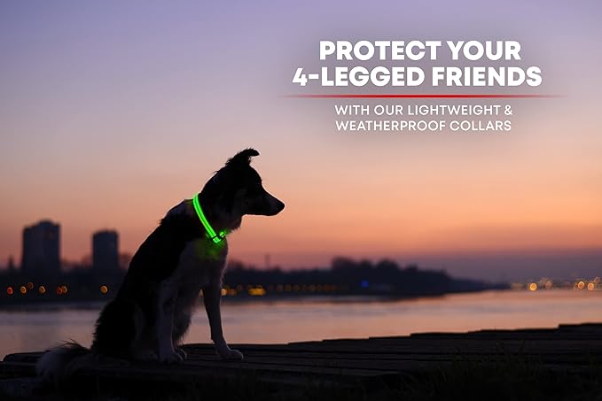 Illumiseen LED Dog Collar USB Rechargeable - Bright & High Visibility Lighted Glow Collar for Pet Night Walking - Weatherproof, in 6 Colors & 6 Sizes (Green Medium)