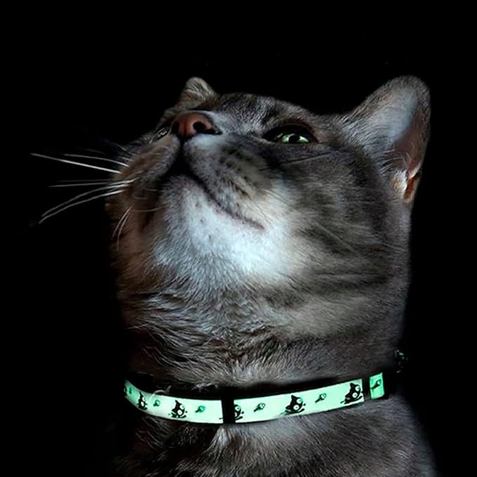 Pawtitas Glow in The Dark Cat Collar Set of 2 with Safety Buckle and Removable Bell Cat Collar Kitten Collar Pink Cat Collar + Orange Cat Collar
