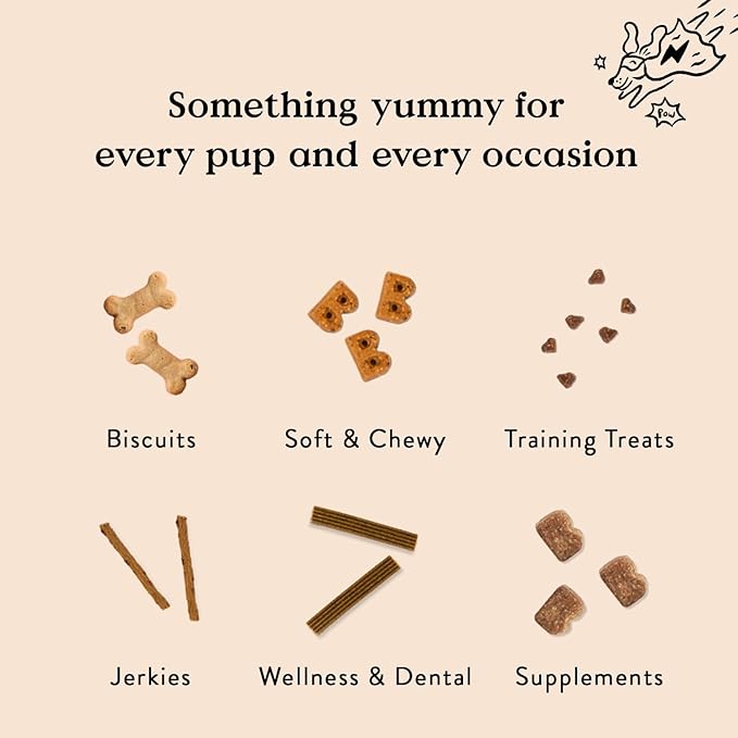 Bocce's Bakery Spiced Cider All-Natural Soft & Chewy Halloween Dog Treats - Wheat-Free Everyday Cookies for Dogs, Made with Real Ingredients & Baked in The USA – Apple & Cinnamon Flavored (6 oz Bag)