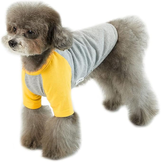 Dog Shirt for Small and Large Dogs, Soft Breathable Cotton T-Shirt, Gray/Yellow, X-Small