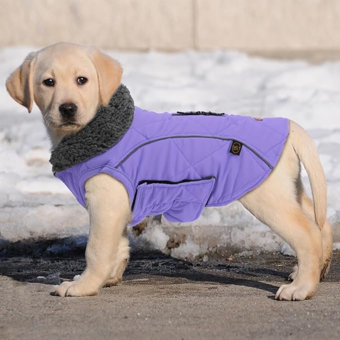 EMUST Dog Winter Jackets, Small/Medium/Large Dog Coat for Winter, Pet Cold Jacket for Large Dogs, Purple, XL