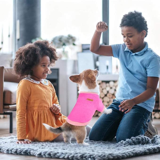 GreenJoy Classic Fleece Dog Sweater – Soft & Warm Stretchy Sweatshirt for Small Dogs & Cats, Cold-Weather Pullover for Everyday Wear (Dark Pink, Large)