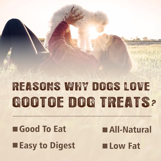 Gootoe Turkey Tendons for Dogs –All-Natural, Hypoallergenic Dog Treats, Rawhide Alternative, Long Lasting Puppy Chews, Healthy Dog Treats for Small Breeds, Lollipop (S), 5 Count Pack