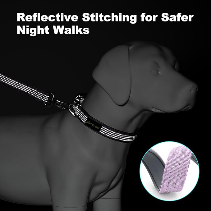 Plutus Pet Reflective Dog Collar with Aviation Aluminum Buckle, Neoprene Padded for Comfort, Lightweight, Heavy Duty Nylon Collar for Puppy Small Medium Large Dogs (Lilac Purple, L)