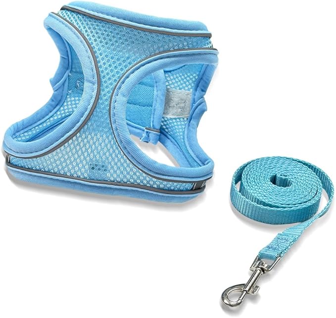 No Pull Dog Harness with Leash Set - Adjustable Reflective Step-in Puppy Vest for Small Medium Dogs & Cats, Blue M - Escape Proof Soft Mesh Comfort Harness for Walking, Choke Free Pet Safety