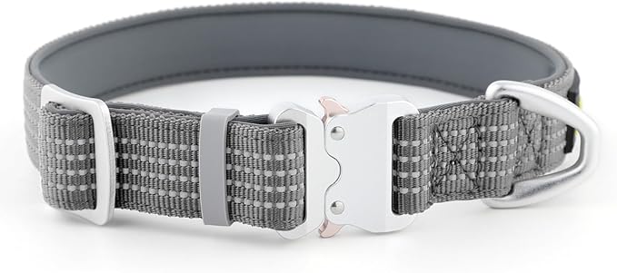 Plutus Pet Reflective Dog Collar with Aviation Aluminum Buckle, Neoprene Padded for Comfort, Lightweight, Heavy Duty Nylon Collar for Puppy Small Medium Large Dogs (Gray, M)