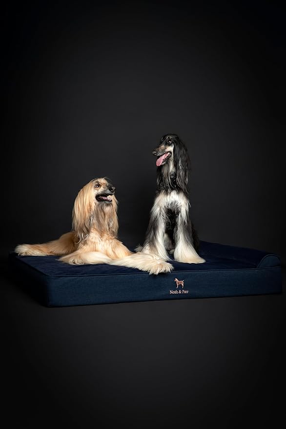 NOAH & PAW Giant Dog Bed XXL 55x45x9.5 Inch, Orthopedic Dog Beds, Eggshell Memory Foam Infused with Cooling Gel, Waterproof, Machine Washable, Includes Inner Cover (Denim Collection)