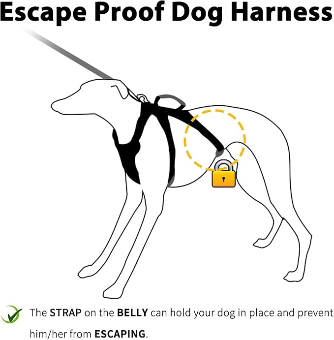 Huntboo Escape Proof Dog Harness, Escape Artist Harness, Fully Reflective Harness with Padded Handle, Breathable,Durable, Adjustable Vest for Medium Dogs Walking, Training, and Running Gear (Teal,XS)
