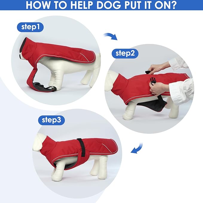 Windproof Waterproof Dog Coat for Dachshund -Red,XSmall- Miniature Dachshund Clothes, Small Dog Coat with Harness Built in, Reflective Dachshund Jacket with Adjustable Buckle Closure