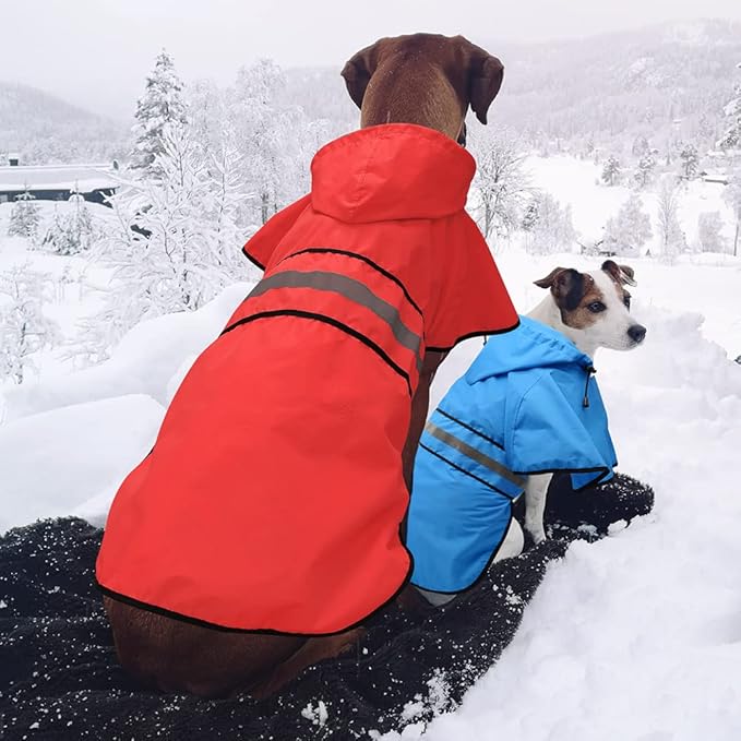 Candofly Dog Raincoat Hooded Poncho - Adjustable Waterproof Dog Rain Jacket Lightweight Reflective Dog Rain Coat Pet Slicker for Small Medium Large Dogs (Medium, Sky Blue)