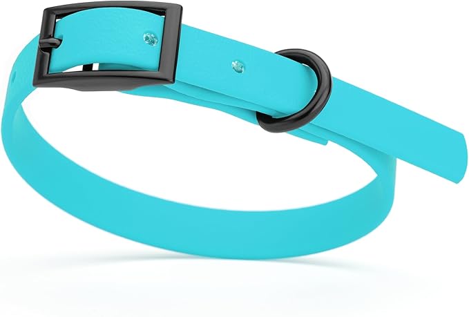 Dogline Biothane Waterproof Dog Collar Strong Coated Nylon Webbing with Black Hardware Odor- Proof for Easy Care Easy to Clean High Performance Fits Small Medium or Large Dogs, Sky Blue