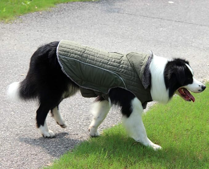 Fleece Dog Hoodie for Large Dogs Super Warm Doggie Jacket for Cold Winter Dog Coats,Green XXXL
