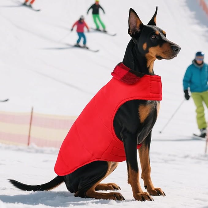 ASENKU Dog Winter Coat, Fleece Doggie Jacket Plaid Reversible Vest Waterproof Windproof Cold Weather Clothes for Small Medium Large Dogs(Red, M)