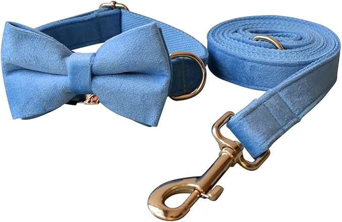 Dog Collar Custom Personalized Engraved Name and Phone Number for Puppy Small Medium Large Pets (XL, Sky Blue)