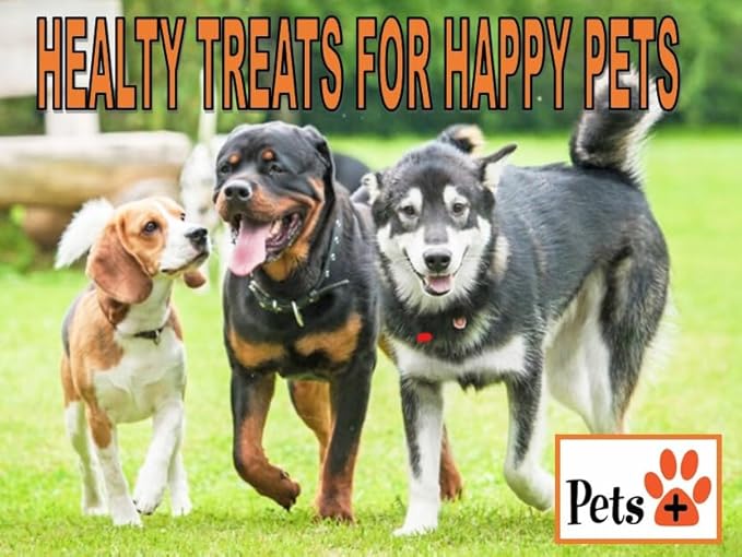 Pets Plus Premium Dog Treat – Beef Femur Bone, 1 Count | All-Natural, Long-Lasting Chew for Medium & Large Dogs, Supports Dental Health & Boredom Relief