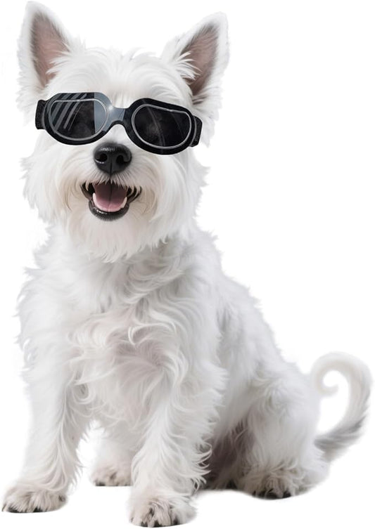 Namsan Dog Goggles Small Breed, Anti-UV Sunglasses for Dogs Small Breeds, Windproof Riding Dog Eye Protection, Yorkie Glasses with Elastic Straps, Easy Put-on/Adjustable, Bright Black