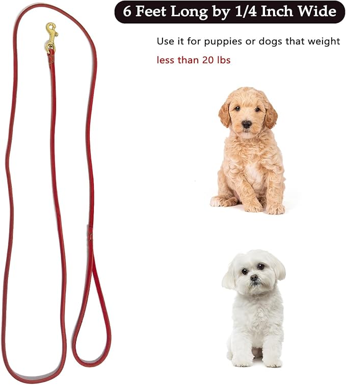Guiding Star Leather Dog Leash 6 ft x 1/4 inch,Thin and Lightweight Leather Leashes for Small Dogs,Leather Cat Leashes for Small Cats,Soft Genuine Leather Dog Training Leashes for Petite Dogs Red