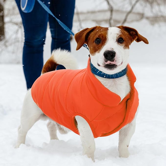 ASENKU Dog Winter Coat - Waterproof Windproof Dog Jacket, Warm Snowproof Doggie Puffer Vest for Cold Weather, Lightweight Snow Coats for Small Medium Large Dogs(Orange, XS)