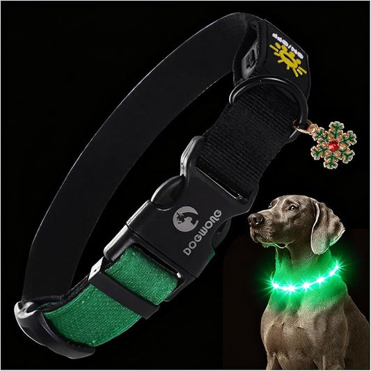 DOGWONG LED Dog Collar - Heavy Duty Light up Collars - Rechargeable Waterproof - Lighted Dog Collar for Night Walking, Hiking, Camping(Green,S)