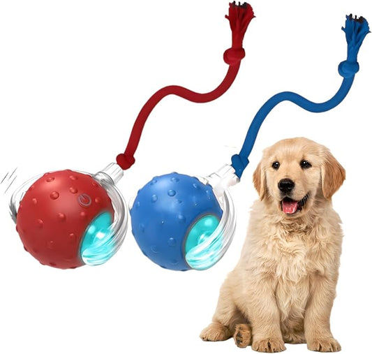Tiny Fetch Dog Toy - Interactive Dog Toys, 360°Smart Automatic Rolling Electric Dogs Ball Toy with Birdsong, Automatic Obstacle Avoidance, Rechargeable, Boredom Relief for Dogs & Cats (Red*1+Blue*1)