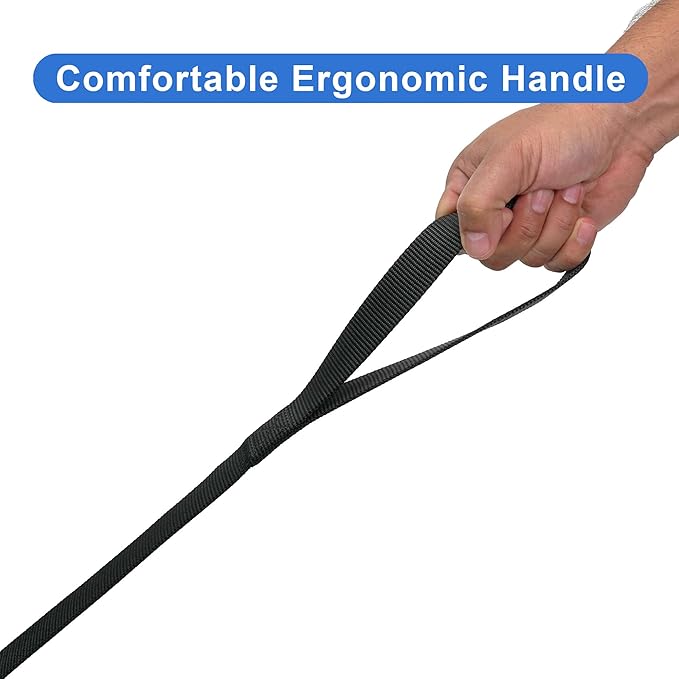 Pawtitas 6 FT Solid Color Leash - Comfortable Handle Dog Training Leash 6 ft Medium/Large Black