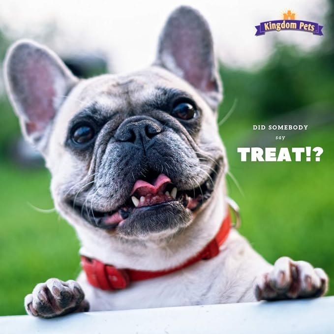 Chicken Jerky & Sweet Potato Dog Treats with Only 4 Ingredients and No Fillers, 3 Pound Bag
