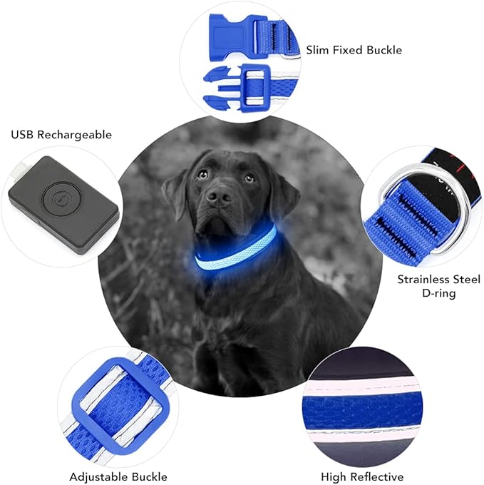 YFbrite Light up Dog Collar, USB Rechargeable LED Puppy Collar Super Bright Adjustable Glowing Dog Lights for Night Walking (Blue, Medium)