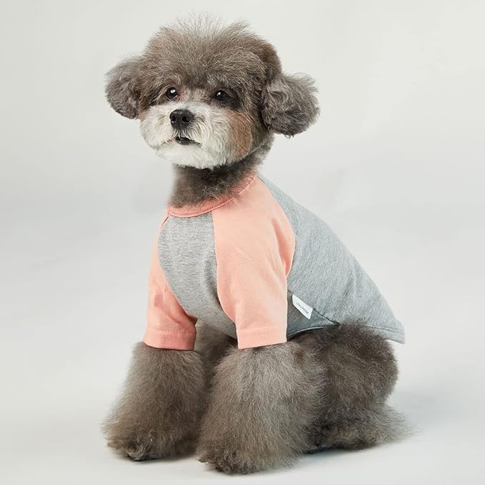 Dog Shirt for Small and Large Dogs Raglan Cotton T-Shirts Soft Breathable Dog Shirts pet Clothes Gray Series (X-Small, Gray/Peach)