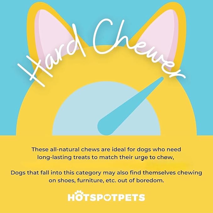 hotspot pets Braided Bully Sticks for Dogs - 6 Inch Stix (10 Pack) All Natural Long Lasting Twisted Beef Pizzle Dog Chew Treats - Low Odor, Grain Free Fully Digestible Rawhide Alternative Sticks