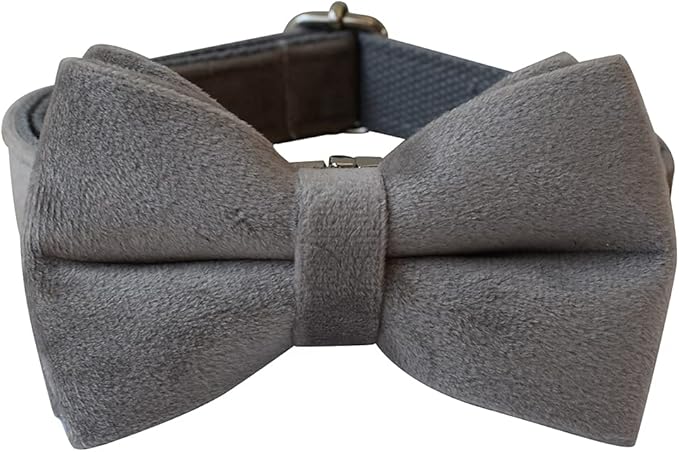 Dog Collar Custom Personalized Engraved Name and Phone Number for Puppy Small Medium Large Pets (XL, Grey)