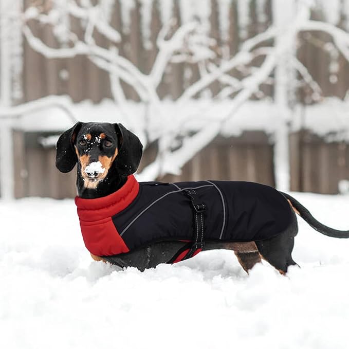 Lelepet Dachshund Coat Warm Dog Winter Coat Waterproof Dog Jacket with Fleece Lining, Reflective Outdoor Dachshund Snowsuit with Leash Hole Adjustable Neckline,Coats for Small Medium Dogs,Red, S