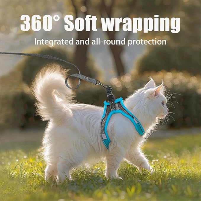 No Pull Dog Harness with Leash Set - Adjustable Reflective Step-in Puppy Vest for Small Medium Dogs & Cats, Blue M - Escape Proof Soft Mesh Comfort Harness for Walking, Choke Free Pet Safety