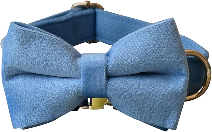 Dog Collar Custom Personalized Engraved Name and Phone Number for Puppy Small Medium Large Pets (L, Sky Blue)