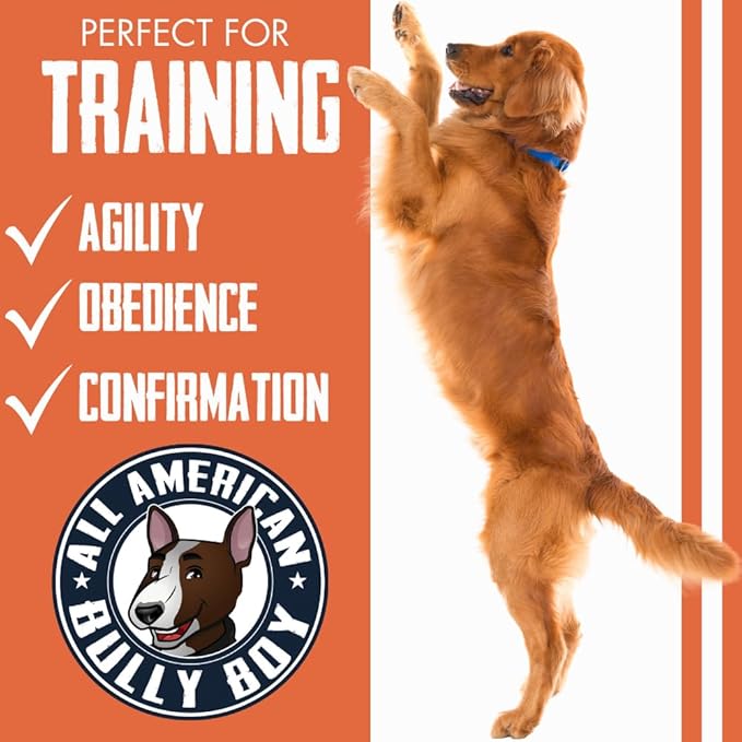 Bully Boy's Famous Mini Beef Training Nibs Dog Treats | Free from Wheat, Corn, Soy, or Gluten | USA Sourced Ingredients | with Smokehouse Beef | Made in Utah | 15 oz - 3 Pack