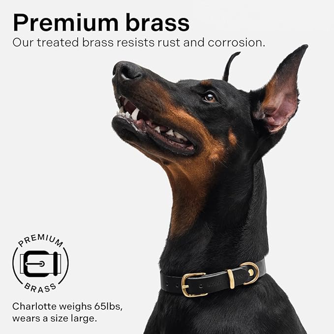 Classic Genuine Leather Dog Collar | Dog Collars for Medium Dogs, Small Dogs, Large Dogs & Extra Large Dog | Wide Dog Collar | Heavy Duty Collar (Black, Medium)