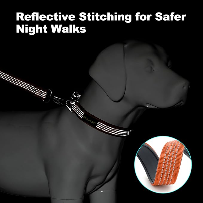 Plutus Pet Reflective Dog Collar with Aviation Aluminum Buckle, Neoprene Padded for Comfort, Lightweight, Heavy Duty Nylon Collar for Puppy Small Medium Large Dogs (Orange, S)