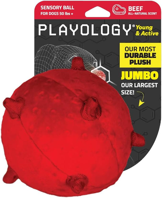 Playology Dog Toys | Puppy Toy Plush Sensory Ball for Dogs and Puppies for Dogs and Puppies | Jumbo Beef Scented Toy - Easy to Clean and Made from Non Toxic Materials
