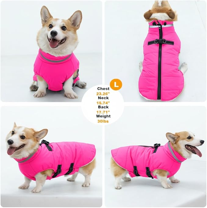 Medium Dog Coat with Harness Built-in, Waterproof Reflective Fleece Lined - Warm Windproof Winter Jacket with Back Zipper, Cold Weather Snow Dog Coats - Pink - M